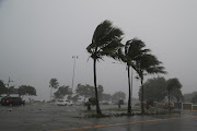 Palm trees sway in the wind during the passage of Tropical Storm Fred in Santo Domingo, Dominican Republic August 11, 2021.