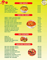 Ilahi Biriyani Multi Cuisine Restaurant menu 1