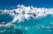 Antarctica HD Wallpapers NewTab Theme small promo image