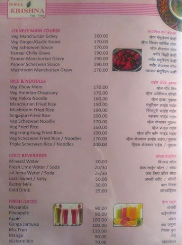 Shree Krushna Hotel menu 