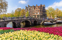 Amsterdam Wallpaper HD Custom New Tab small promo image