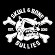 Download Skull & Bone Bullies For PC Windows and Mac 1.0