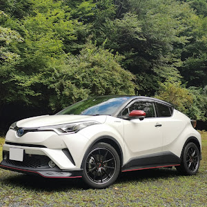 C-HR ZYX10