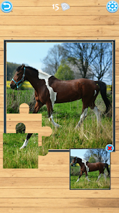 Horse Jigsaw Puzzle(圖8)-速報App