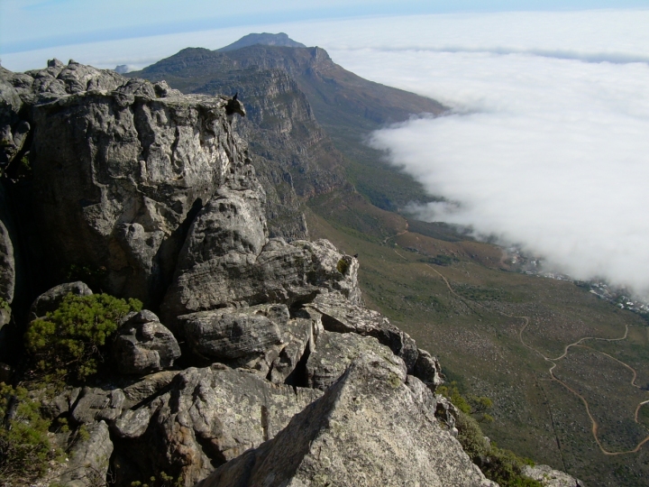 Table Mountain di kipli