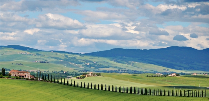 Ifantasticicollisenesi di marxxx