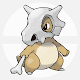 cubone