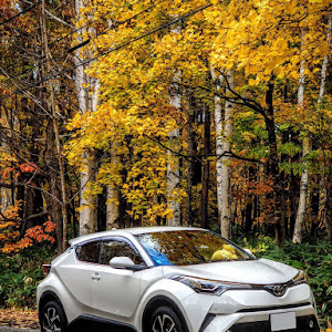 C-HR NGX50