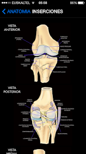 Rodilla Ap - náhled