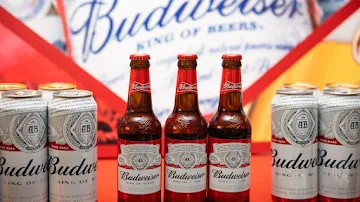 best-beer-brands-in-india_budweiser