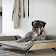 Letto dayBed una cama moderna para perros con mucho estilo