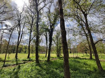 château à Orleans (45)