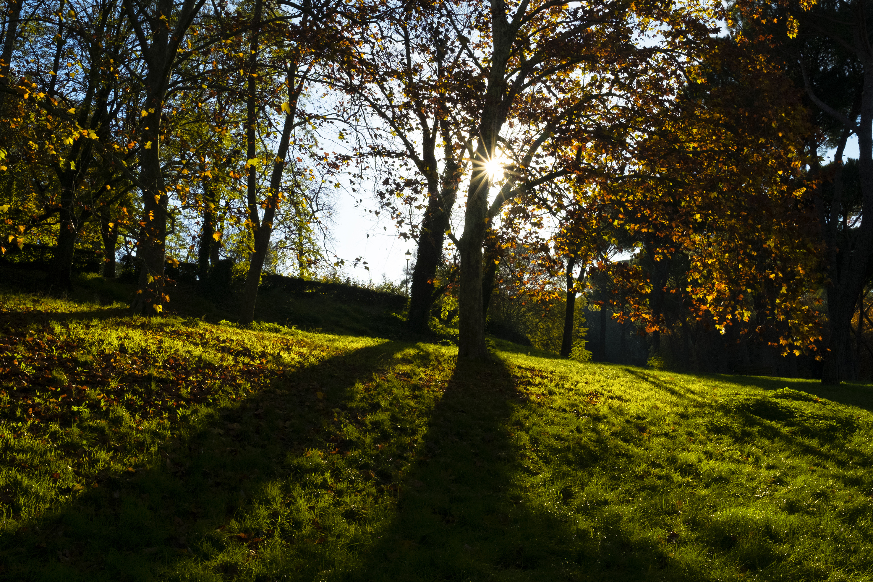 Villa Borghese di Valeria__