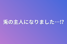 兎の主人になりました…⁉︎