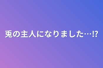 兎の主人になりました…⁉︎