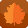 Autumn Theme by Micromax icon