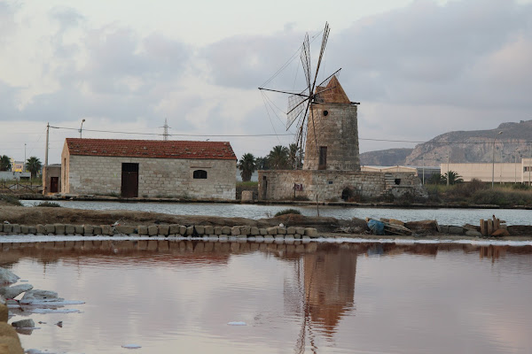 Il mulino e le saline di Stefano Trevisi