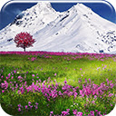 Mountain Flowers Chrome extension download