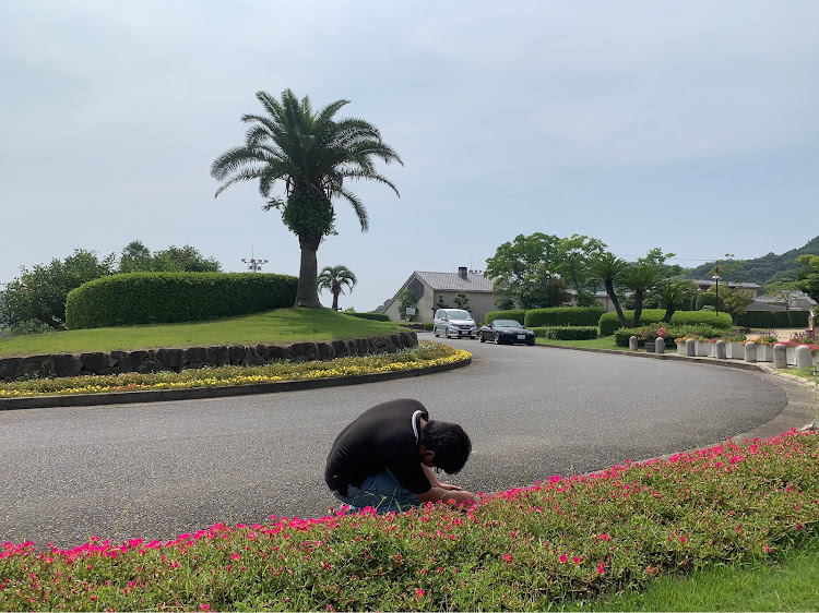 の投稿画像19枚目