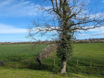 maison à Montbrison (42)