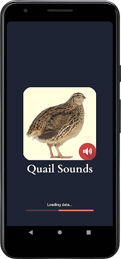 Screenshot Quail Sounds