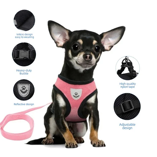 Cat Harness Adjustable Vest Walking Traction Rope Set for Dog Collar Breathable Mesh Harness for Small Medium Cat Dog Pe