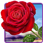 Cover Image of Download Rose. Magic Touch Flowers 2.2.8 APK