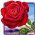 Rose. Magic Touch Flowers2.3.2