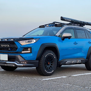 RAV4 MXAA54