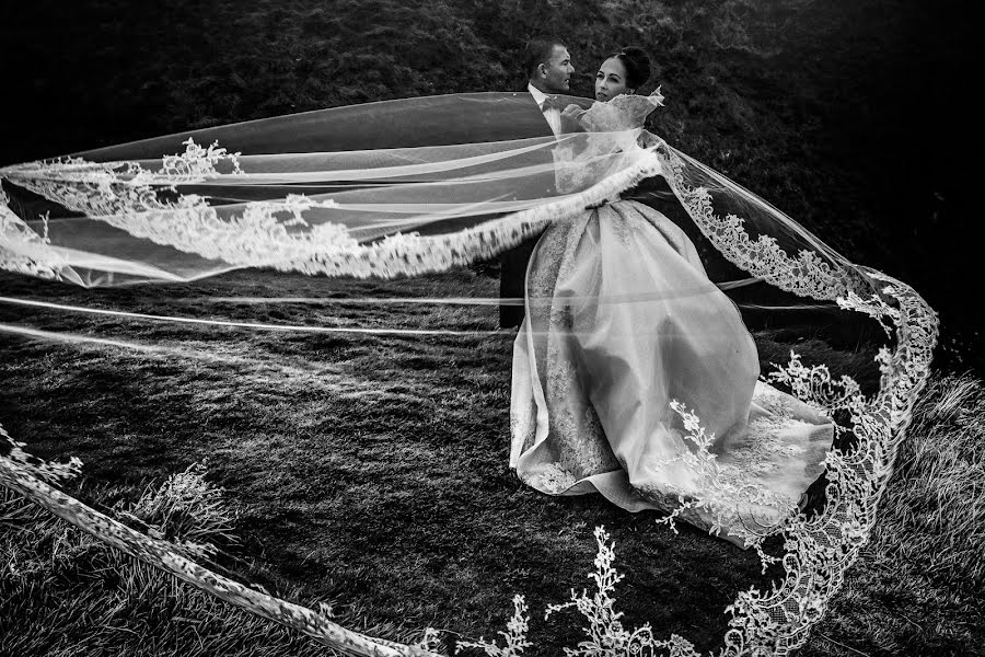 Fotografo di matrimoni Dmytro Sobokar (sobokar). Foto del 2 maggio 2018