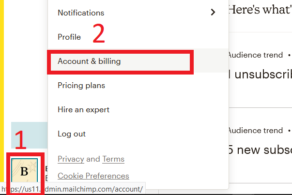 Click on your Mailchimp profiles' avatar and then click on Account and billing.