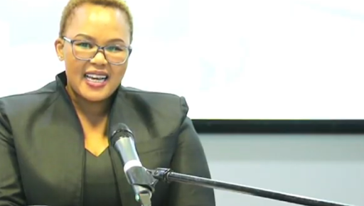 Lindiwe Rusi, who is in the running for a position as a judge in the high court in the Eastern Cape, has had to answer to allegations that she resigned from Legal Aid SA after it was alleged that she had accessed and distributed pornographic material through a work PC.