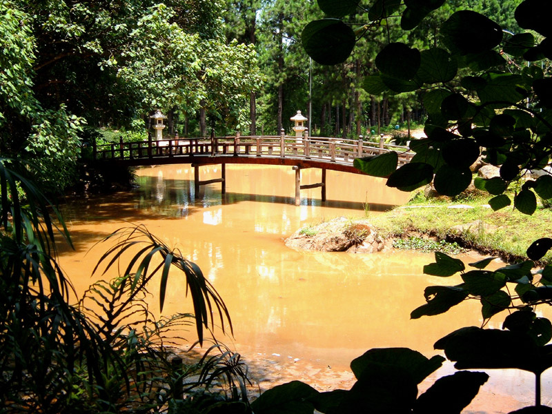  Ponte della meditazione di Toninola