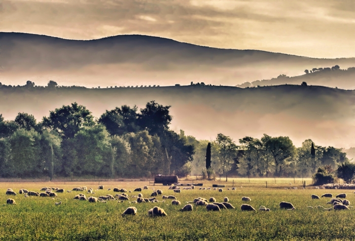 Il risveglio della terra di si