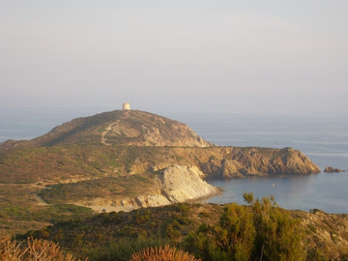 Colori d'estate di francescap