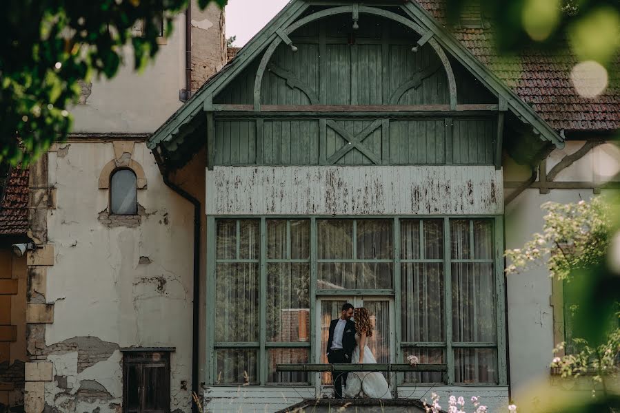 Pulmafotograaf Strahinja Babovic (babovic). Foto tehtud 3 detsember 2020