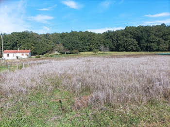 maison neuve à Lalinde (24)