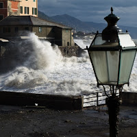 Lampione del mare di 