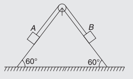 Free-Body Diagrams - FBD