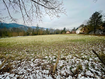 maison neuve à Muhlbach-sur-Bruche (67)