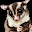 Sugar Glider Wallpaper New Tab Theme