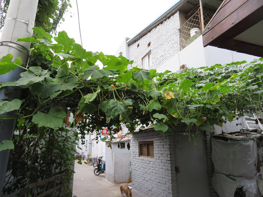 Beijing Hutong China 2016