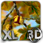 Cover Image of Download Autumn Leaves in HD Gyro 3D XL Parallax Wallpaper 1.3 APK