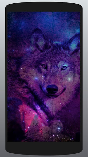 Lone Wolf Wallpaper - Free