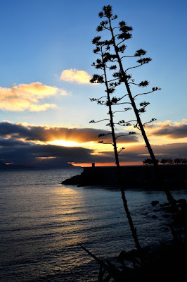 SUNSET di Kate Bush di Marco Giovannini