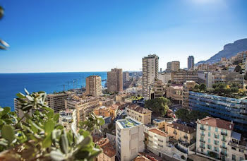 appartement à Monaco (98)