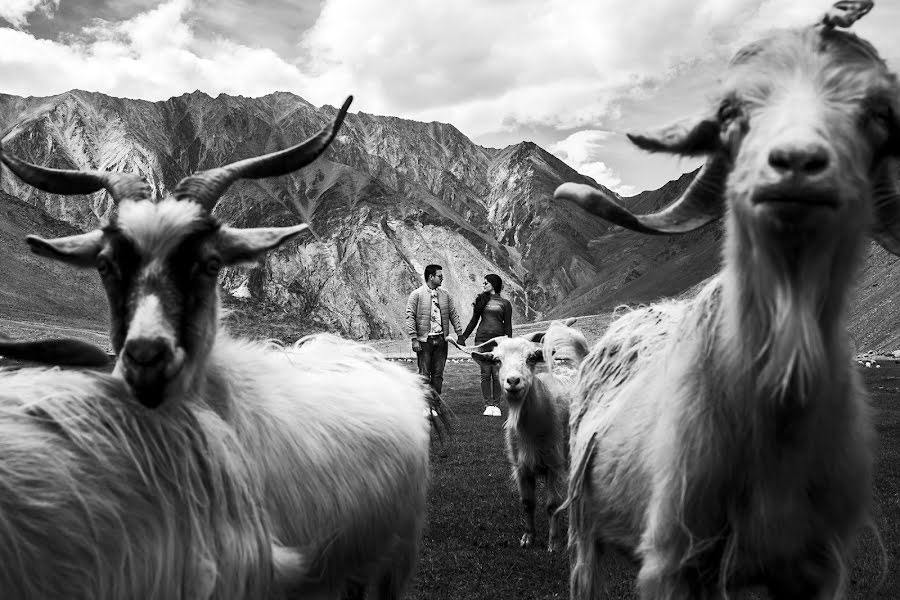 Fotografo di matrimoni Manish Patel (thetajstudio). Foto del 24 aprile 2019