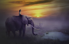 Elephant Wallpapers HD Theme small promo image