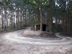 小屋前で林道合流（右から来た）