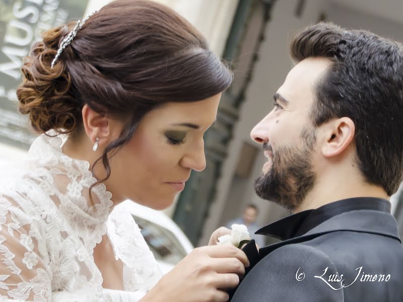 婚礼摄影师Luis Jimeno（luisjimeno）。2015 4月11日的照片